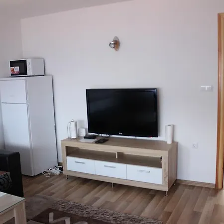 Zoni * فلاسيتش