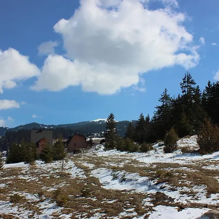 Zoni Holiday home