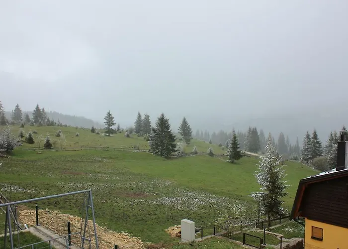 Zoni Dom wakacyjny *